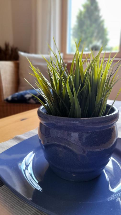 Strandvilla Marius Koserow Kültér fotó